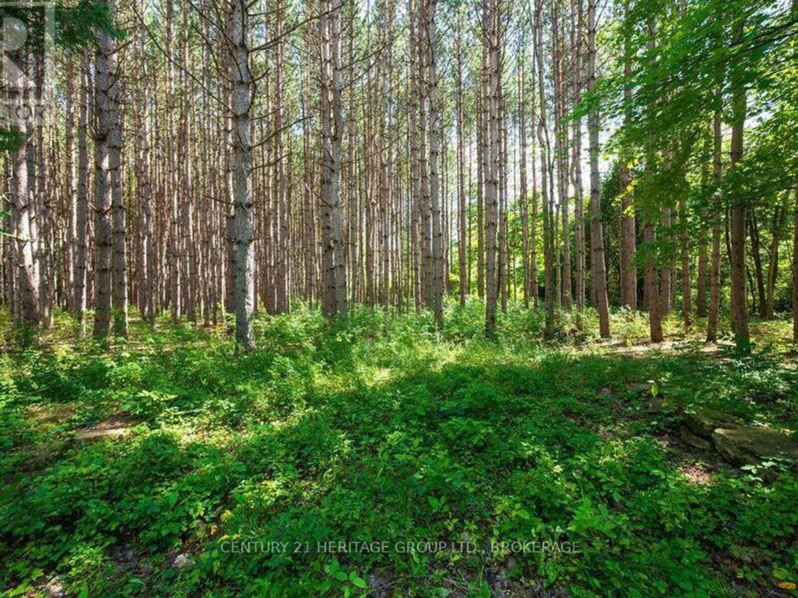 817 POWERS ROAD, Perth, Ontario K7H 3C5