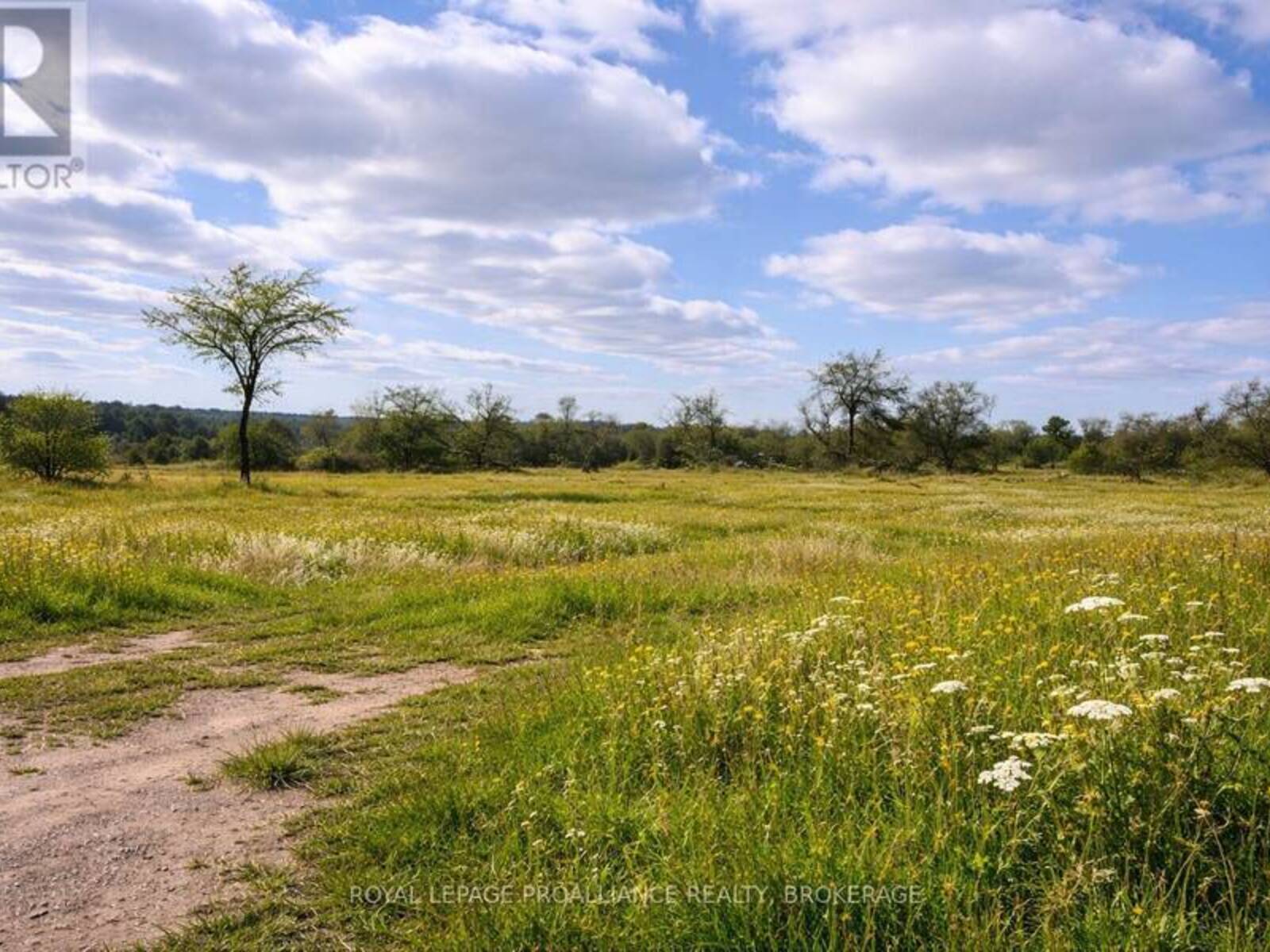 PT LT 3 MCGARVEY ROAD, Inverary, Ontario K0H 1X0
