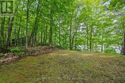 2120 CHARLIE GREEN ROAD | Inverary Ontario | Slide Image Thirty-one