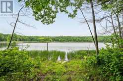 2120 CHARLIE GREEN ROAD | Inverary Ontario | Slide Image Thirty-two