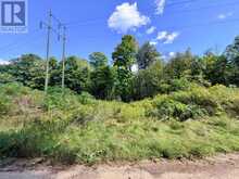 S 1/2 LOT 2-4 CON 1 HYDRO LANE | North Frontenac Ontario | Slide Image Four