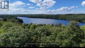 S 1/2 LOT 2-4 CON 1 HYDRO LANE | North Frontenac Ontario | Slide Image Eight