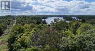 S 1/2 LOT 2-4 CON 1 HYDRO LANE | North Frontenac Ontario | Slide Image Nine