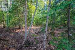 5243 BATTERSEA ROAD | South Frontenac Ontario | Slide Image Twenty