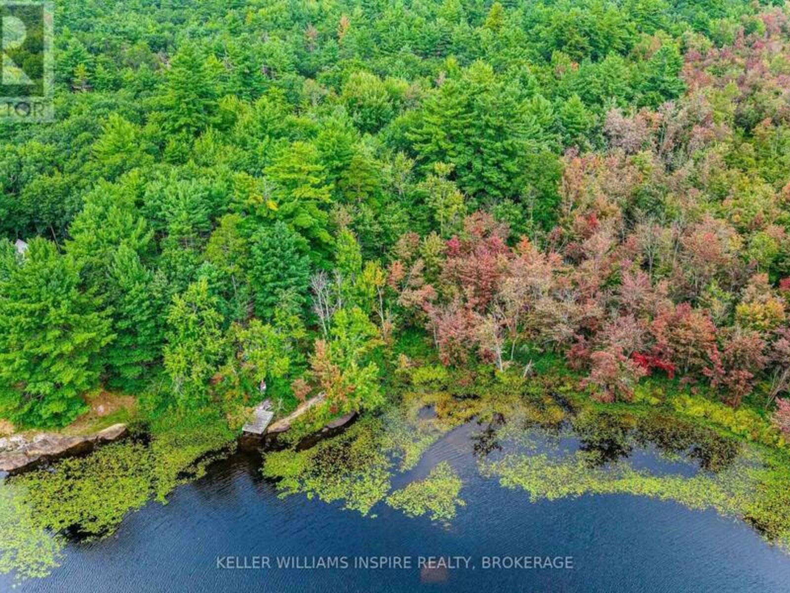 PT LT 22 CON 10 SHEFFIELD LONG LAKE, Arden, Ontario K0H 1B0