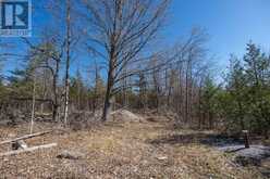 00 MCCUTCHEON ROAD | Greater Napanee Ontario | Slide Image Thirty-five
