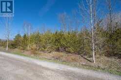 00 MCCUTCHEON ROAD | Greater Napanee Ontario | Slide Image Thirty-eight