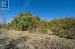 00 MCCUTCHEON ROAD | Greater Napanee Ontario | Slide Image Forty