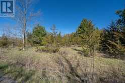 00 MCCUTCHEON ROAD | Greater Napanee Ontario | Slide Image Forty-one