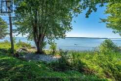 175 PLEASURE PT. LANE | Frontenac Islands Ontario | Slide Image Forty-nine