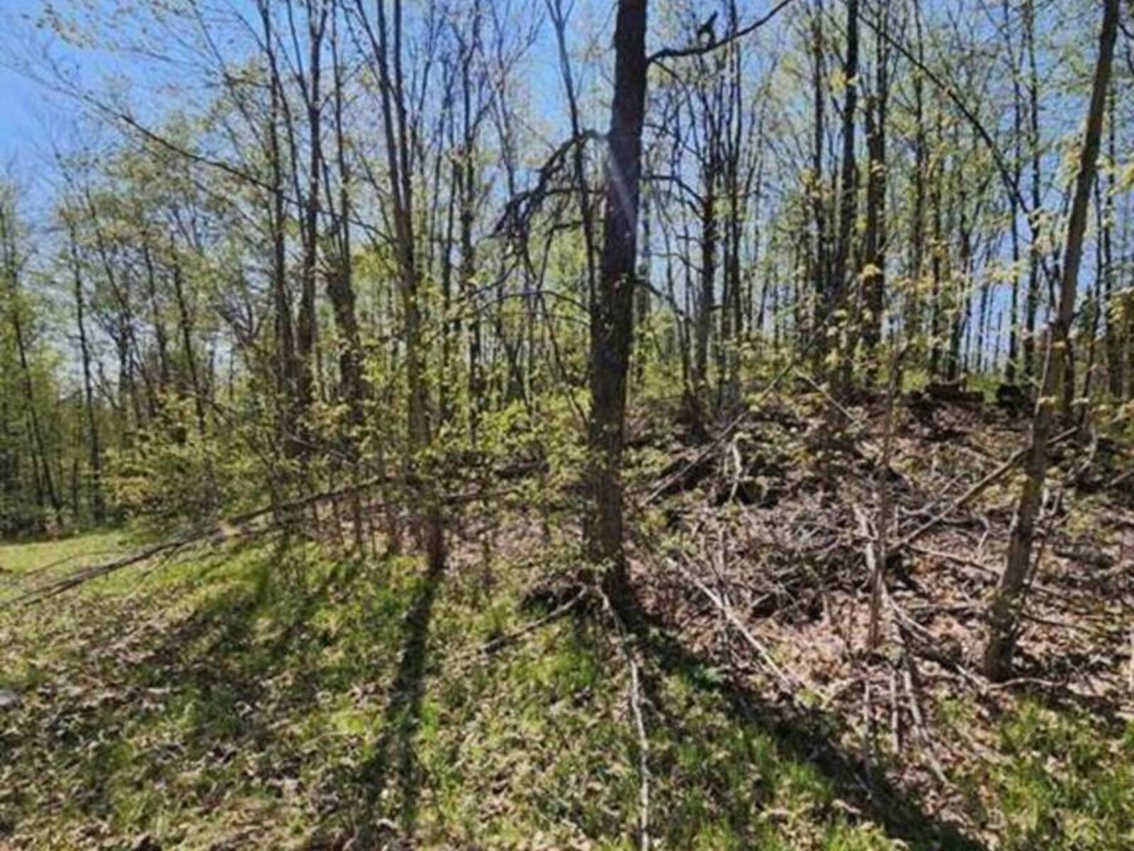 0 BURKE SETTLEMENT ROAD, Central Frontenac, Ontario K0H 2P0