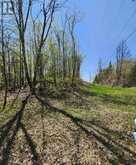 0 BURKE SETTLEMENT ROAD | Central Frontenac Ontario | Slide Image Four