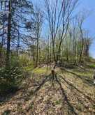 0 BURKE SETTLEMENT ROAD | Central Frontenac Ontario | Slide Image Six