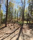 0 BURKE SETTLEMENT ROAD | Central Frontenac Ontario | Slide Image Seven