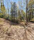 0 BURKE SETTLEMENT ROAD | Central Frontenac Ontario | Slide Image Eight