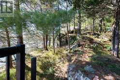 353 FRYE LANE | Inverary Ontario | Slide Image Thirty-eight