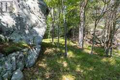 353 FRYE LANE | Inverary Ontario | Slide Image Forty-one