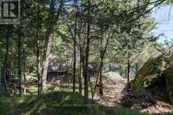353 FRYE LANE | Inverary Ontario | Slide Image Forty-two