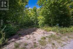 0 MYERS CAVE ROAD | Arden Ontario | Slide Image Two