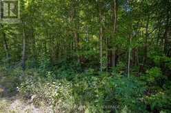 0 MYERS CAVE ROAD | Arden Ontario | Slide Image Three