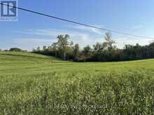 6562 COUNTY 4 ROAD | Stone Mills Ontario | Slide Image Four