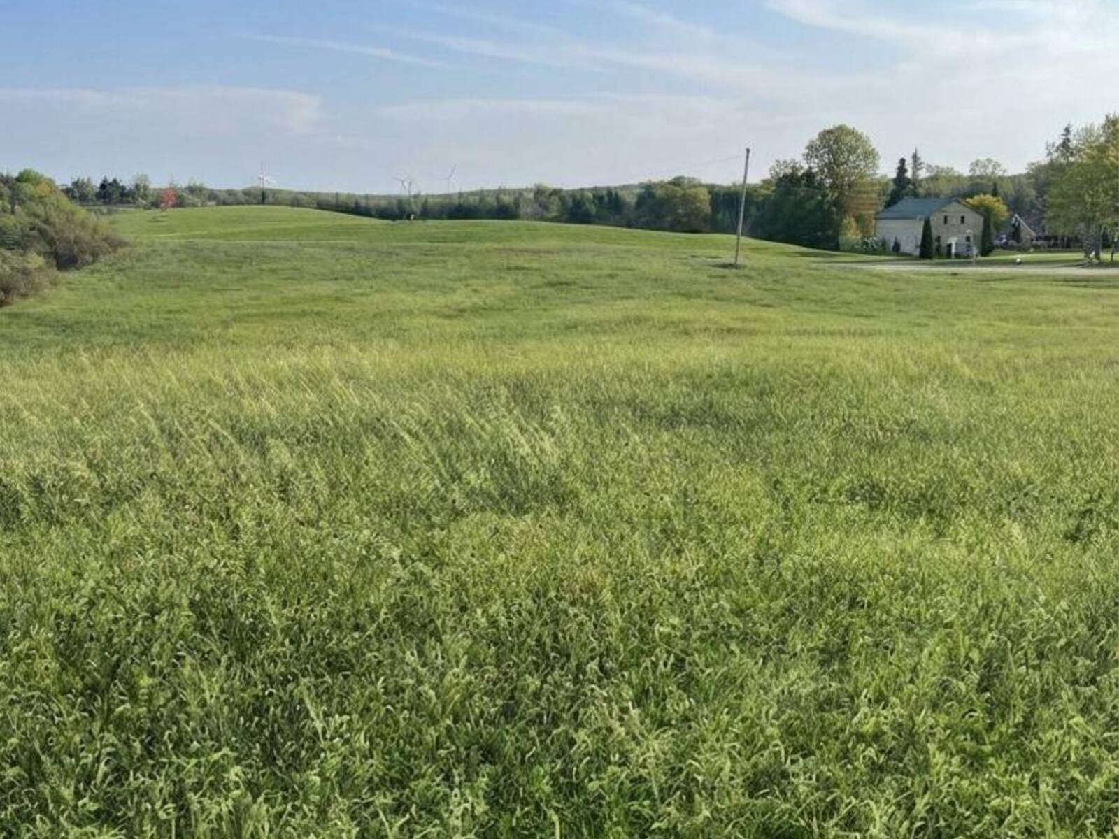 6562 COUNTY 4 ROAD, Stone Mills, Ontario K0K 3G0