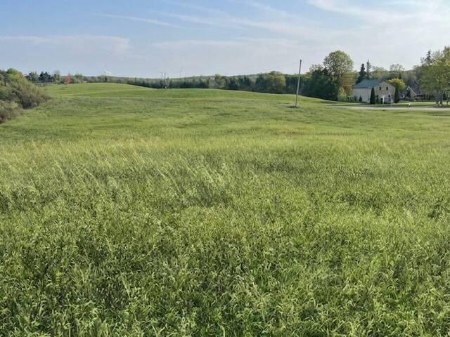 6562 COUNTY 4 ROAD Stone Mills Ontario, K0K 3G0 - Vacant Land For Sale