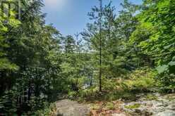811 HERMIT THRUSH LANE | Leeds and the Thousand Islands Ontario | Slide Image Thirty-one