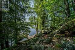 811 HERMIT THRUSH LANE | Leeds and the Thousand Islands Ontario | Slide Image Thirty-four