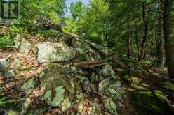 811 HERMIT THRUSH LANE | Leeds and the Thousand Islands Ontario | Slide Image Thirty-five
