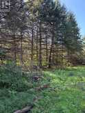 523 LOWER OAK LEAF ROAD | Leeds and the Thousand Islands Ontario | Slide Image Twelve