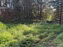 523 LOWER OAK LEAF ROAD | Leeds and the Thousand Islands Ontario | Slide Image Sixteen