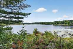 202 DEANS ISLAND ROAD | Rideau Lakes Ontario | Slide Image Thirty-five