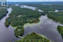 202 DEANS ISLAND ROAD | Rideau Lakes Ontario | Slide Image Forty-eight