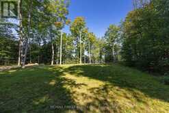 276E KIDDS ROAD | Stone Mills Ontario | Slide Image Ten