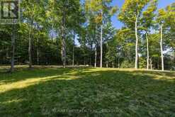 276E KIDDS ROAD | Stone Mills Ontario | Slide Image Eleven