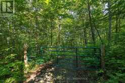 276E KIDDS ROAD | Stone Mills Ontario | Slide Image Eighteen