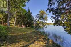 276E KIDDS ROAD | Stone Mills Ontario | Slide Image Sixteen
