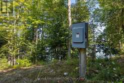 276E KIDDS ROAD | Stone Mills Ontario | Slide Image Nineteen