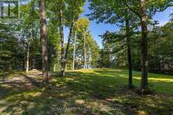 276E KIDDS ROAD | Stone Mills Ontario | Slide Image Nine