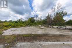 0 PT LT 1 CONCESSION 8 | Stone Mills Ontario | Slide Image Eleven