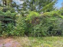 4900 COUNTY RD 4 | Stone Mills Ontario | Slide Image Two