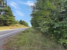 4900 COUNTY RD 4 | Stone Mills Ontario | Slide Image Three
