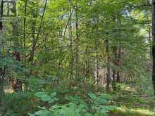 4900 COUNTY RD 4 | Stone Mills Ontario | Slide Image Six