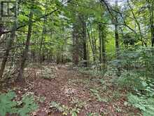 4900 COUNTY RD 4 | Stone Mills Ontario | Slide Image One