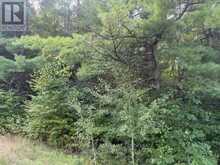 4900 COUNTY RD 4 | Stone Mills Ontario | Slide Image Nine