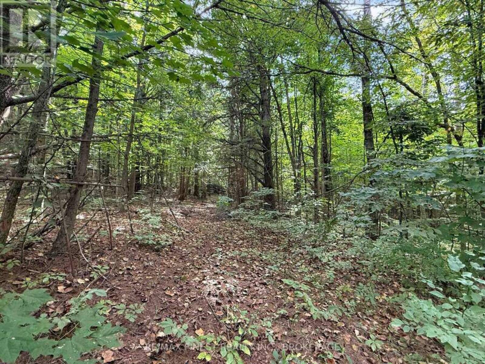 4900 COUNTY RD 4, Stone Mills, Ontario K0K 1Z0
