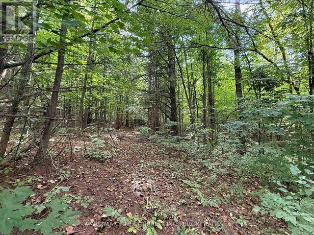 4900 COUNTY RD 4 Stone Mills Ontario, K0K 1Z0 - Vacant Land For Sale