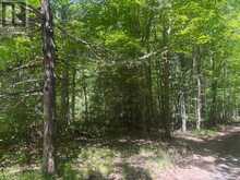 49 CEDAR SANDS ROAD | Leeds and the Thousand Islands Ontario | Slide Image Two