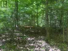 49 CEDAR SANDS ROAD | Leeds and the Thousand Islands Ontario | Slide Image Four